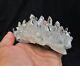 Clear Quartz Cluster Himalayan Crystal /mineral 110x70mm