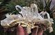Clear Quartz Cluster Himalayan Crystal /mineral 180x170mm, Extra Quality Rare