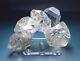Complex Large Herkimer Diamond Quartz Crystal Cluster New York Ny W Enhydro