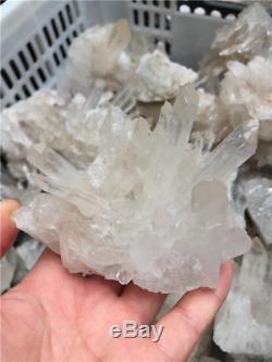 Crystal Clusters 11 Lb Lots Natural Clear Quartz Points Cluster AWESOME Specime