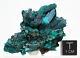 Dioptase Crystal Cluster Emerald Green Mineral Specimen Kazakhstan Gemstone