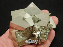 ELEVEN! 100% Natural Entwined PYRITE Crystal Cubes! In a BIG Cluster Spain 595gr