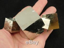 FIVE! 100% Natural Entwined PYRITE Crystal Cubes! In a Big Cluster Spain 319gr