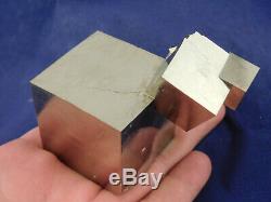 FOUR! 100% Natural Entwined PYRITE Crystal Cubes! In a HUGE Cluster Spain 464gr