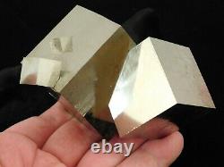 FOUR! Entwined Pyrite Crystal CUBES in a HUGE Cluster Spain 575gr