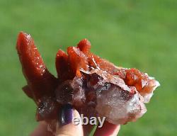 Ferruginous Red Quartz Crystal Cluster From Morocco Cabinet Size