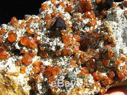 Gem Golden Garnet Crystals & Smoke Quartz Cluster on Matrix Mineral Specimen