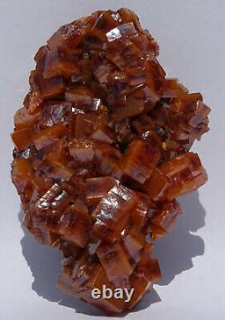 Gorgeous WULFENITE Crystal Cluster-Top Luster-Ahumada mine, Mexico-Classic