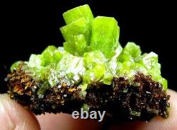 Green Pyromorphite Crystal Cluster Specimen-DZ070