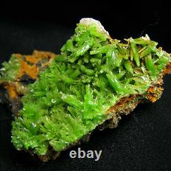 Green Pyromorphite Crystal Cluster Specimen-DZ075