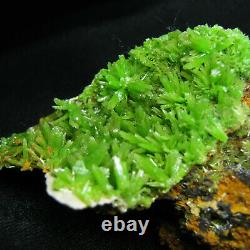 Green Pyromorphite Crystal Cluster Specimen-DZ075