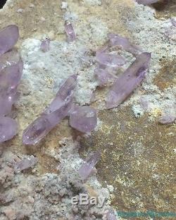 HIGH END Huge CLEAR LAVENDER Veracruz Amethyst Quartz Crystal SCEPTER Cluster
