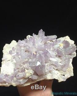 HIGH END QUALITY Huge CLEAR LAVENDER Veracruz Amethyst Quartz Crystal Cluster