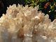 Huge African Clear Quartz Crystal Cluster Over 16lbs! From Madagascar