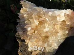 HUGE African Clear Quartz Crystal Cluster Over 16lbs! From Madagascar