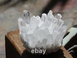 High Quality Natural Clear Quartz Crystal Cluster 485g Raw & Rough
