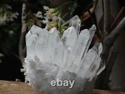 High Quality Natural Clear Quartz Crystal Cluster 573g Raw & Rough