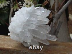 High Quality Natural Clear Quartz Crystal Cluster 573g Raw & Rough