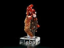 High Quality Red Vanadinite Crystal Cluster on Black Matrix #4