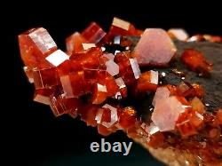 High Quality Red Vanadinite Crystal Cluster on Black Matrix #4