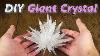 How To Grow Giant Crystal