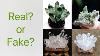 How To Spot Fake Raw Stone Crystal Cluster