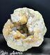 Huge Geode 14lb Quality Citrine Crystal Cluster Kentucky Natural Quartz Gemstone