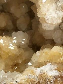 Huge Geode 14Lb Quality Citrine Crystal Cluster Kentucky Natural Quartz Gemstone
