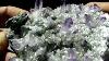 Huge Veracruz Amethyst Quartz Crystal Cluster