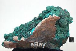 LARGE DIOPTASE WULFENITE Crystal Cluster Emerald Green Mineral Specimen CONGO