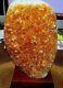Large Polished Citrine Crystal Cluster Geode Brazil Cathedral With Wood Base