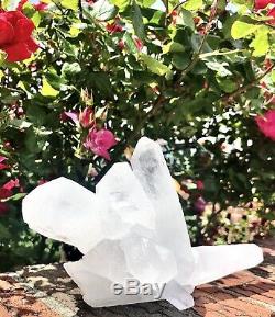 Large 2.63 Lbs All Natural Clear Quartz Cluster 10 x 5 Natural Healing Energy
