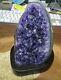 Large Amethyst Crystal Cluster Geode Uruguay Cathedral Woodc Stand