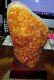 Large Citrine Crystal Cluster Geode Brazil Cathedral Wood Stand