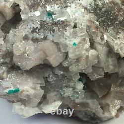 Large Dioptase Crystal Cluster Tsumeb Mine Namibia Display Specimen