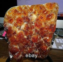 Large Polished Citrine Crystal Cluster Geode From Brazil Cathedral W' Stand