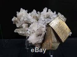 Large Quartz & Pyrite Crystal Cluster from Washington State