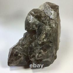 Large Smoky Elestial Quartz Cluster On Wooden Stand Brazil