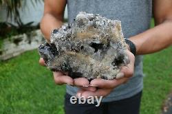 Large Smoky Quartz Crystal Cluster Points 5+ Lbs US Seller! Free Ship