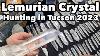 Lemurian Crystal Hunting At The Tucson Gem Show 2023 W Sprite