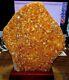 Lg. Citrine Crystal Cluster Geode F/ Brazil Cathedral Wood Stand