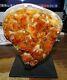Lg. Polished Citrine Crystal Cluster Geode From Brazil Cathedral W' Steel Base