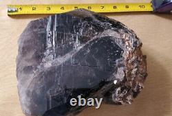 Massive 10 pound Smoky Black Quartz Crystal Cluster Gwindel Chakra Grounding