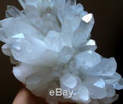 Museum Grade! Clear Angels Peace Lemurian Quartz Cluster with Turquoise-Green