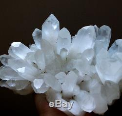 Museum Grade! Clear Angels Peace Lemurian Quartz Cluster with Turquoise-Green