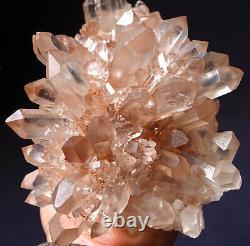 Museum Grade! GEM Elestial Angel PINK Lemurian Quartz Cluster Crystal Point
