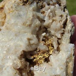 Native Leaf Gold crystals wire Quartz Crystal cluster Rogue River Oregon 109 gm