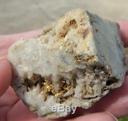 Native Leaf Gold crystals wire Quartz Crystal cluster Rogue River Oregon 109 gm