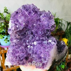 Natural Amethyst Flowers Quartz Crystal Cluster Geode Mineral Specimens Healing