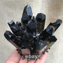 Natural Black Smokey Quartz Crystal Cluster Mineral Specimen Healing